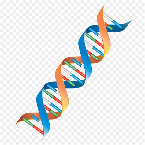 free clip art dna.